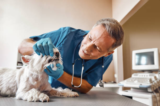 Best Cracked Tooth Emergency Dentist  in Adrian, MO